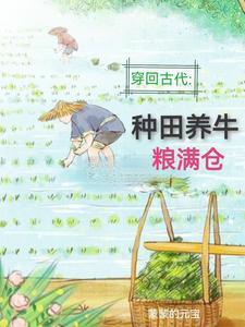 回到农村种田的种田文